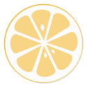 Orange Slice stickers by staceyjean Orange Slice stickers
