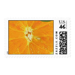 ORANGE SLICE USPS STAMP