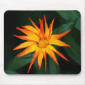 Orange Spikes mousepads