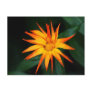 Orange Spikes Postcard