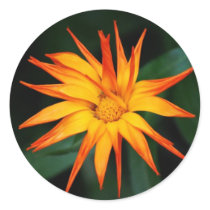 Orange Spikes stickers by AngelasFocusedOnYou Orange Spikes stickers