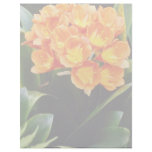 Orange Spring clivia miniata Kafir Lilly flowers Personalized Letterhead