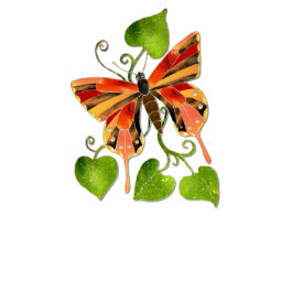 Butterfly Insect Animal Facts Trivia