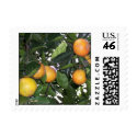 Orange Stamp