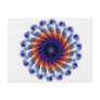 Orange Starfish Blue Ocea...