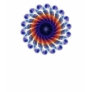 Orange Starfish Blue Ocea...