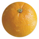 Orange Stickers 01 by phantompanther Orange Stickers 01