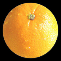 Orange Stickers 02 by phantompanther Orange Stickers 02