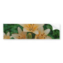 Orange Summer Lilies bumper stickers