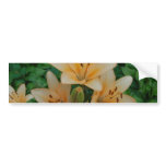 Orange Summer Lilies Bumper Stickers