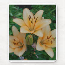 Orange Summer Lilies Mouse Pads