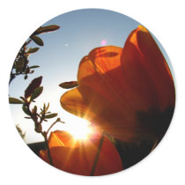 Orange Sun and Petals stickers