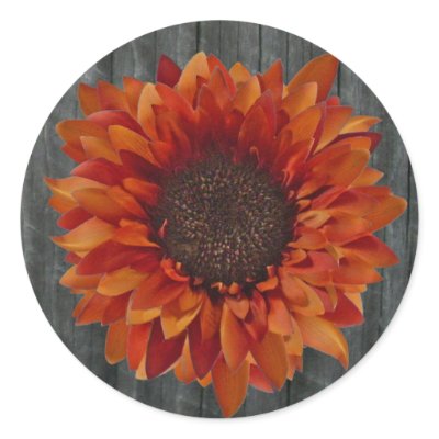 Orange Sunflower & Barnwood Sticker