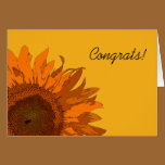 Orange Sunflower Congratulations cards