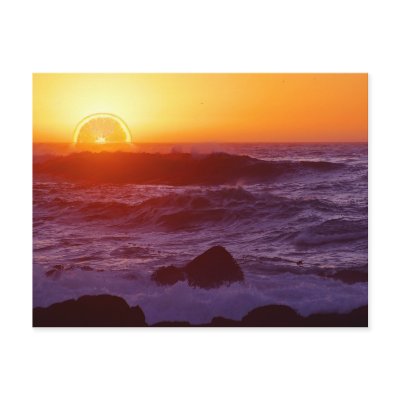 orange_sunset_postcard-p239597568535235389qibm_400.jpg