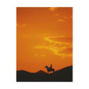 Orange Sunset with Cowboy Silhouette postcards