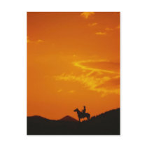 Orange Sunset with Cowboy Silhouette postcards
