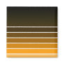 orange swatch magnets