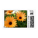 Orange Symphony postage by legacypics Orange Symphony postage