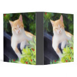 Orange Tabby Cat Binder