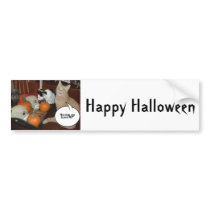 Orange Tabby Cat bumper stickers