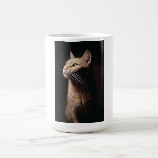 Orange Tabby Cat Coffee Mug Zazzle