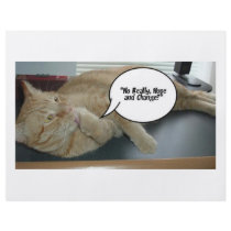 Orange Tabby Cat flyers by SpeakYourMind Orange Tabby Cat flyers