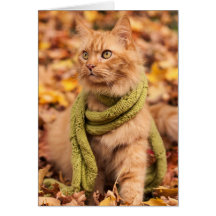 Orange Tabby Cat in a Scarf Greeting Card