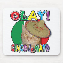 Orange Tabby Cat
