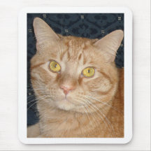 Orange Tabby Cat Mousepads