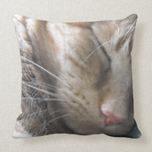 Orange Tabby Cat Pillows