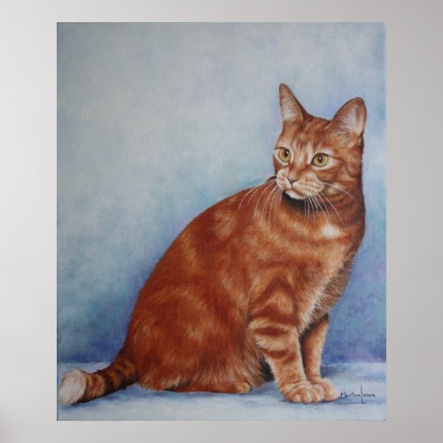 Orange Tabby Cat Poster print