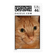 Orange Tabby Cat Stamp