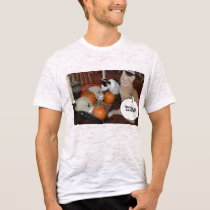 Orange Tabby Cat t-shirts by JustTeez Orange Tabby Cat t-shirts