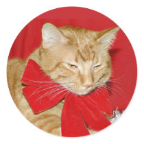 Orange tabby Christmas bow sticker by deemac1 Orange tabby Christmas bow sticker