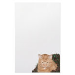 Orange tabby Christmas stationery