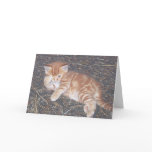 Orange Tabby Feral Kitten Card