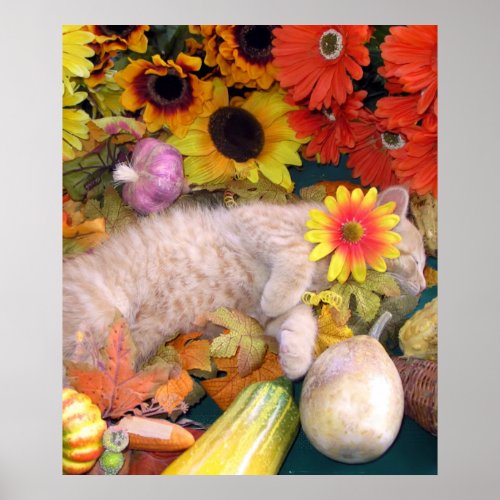 Orange Tabby Kitten, Fall Harvest, Squash, Gourds print