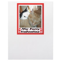 Orange Tabby Kitten letterhead by Incatneato Orange Tabby Kitten letterhead