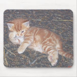 Orange Tabby Kitten Mouse Pads