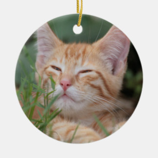 Orange Tabby Kittens orange tabby kitten ornament r52a838d047bf4954b8dd27015d8dcf6a x7s2y 8byvr 324 Orange Tabby Kittens