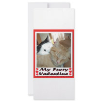 Orange Tabby Kitten rack cards