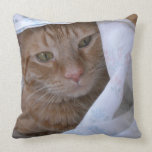 Orange Tabby Kitty Cat Throw Pillow