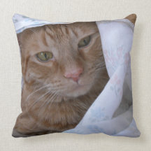 Orange Tabby Kitty Cat Throw Pillow