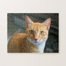 Orange Tabby Puzzles