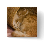 Orange tabby sleeping in hamper buttons