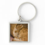 Orange tabby sleeping in hamper keychains