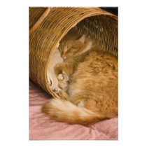 Orange tabby sleeping in hamper