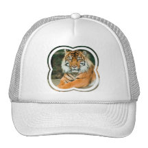 Orange Tiger Baseball Hat