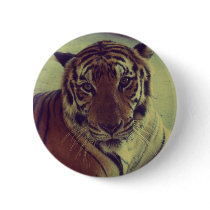 Orange Tiger Buttons